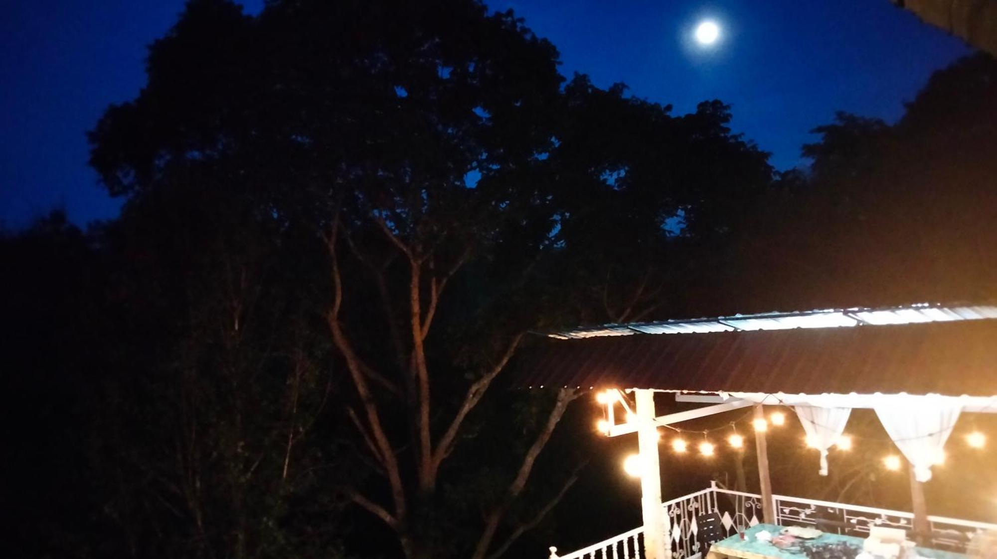 Balmy Hideout Cafe & Homestay Ban Huai Kaeo Екстер'єр фото