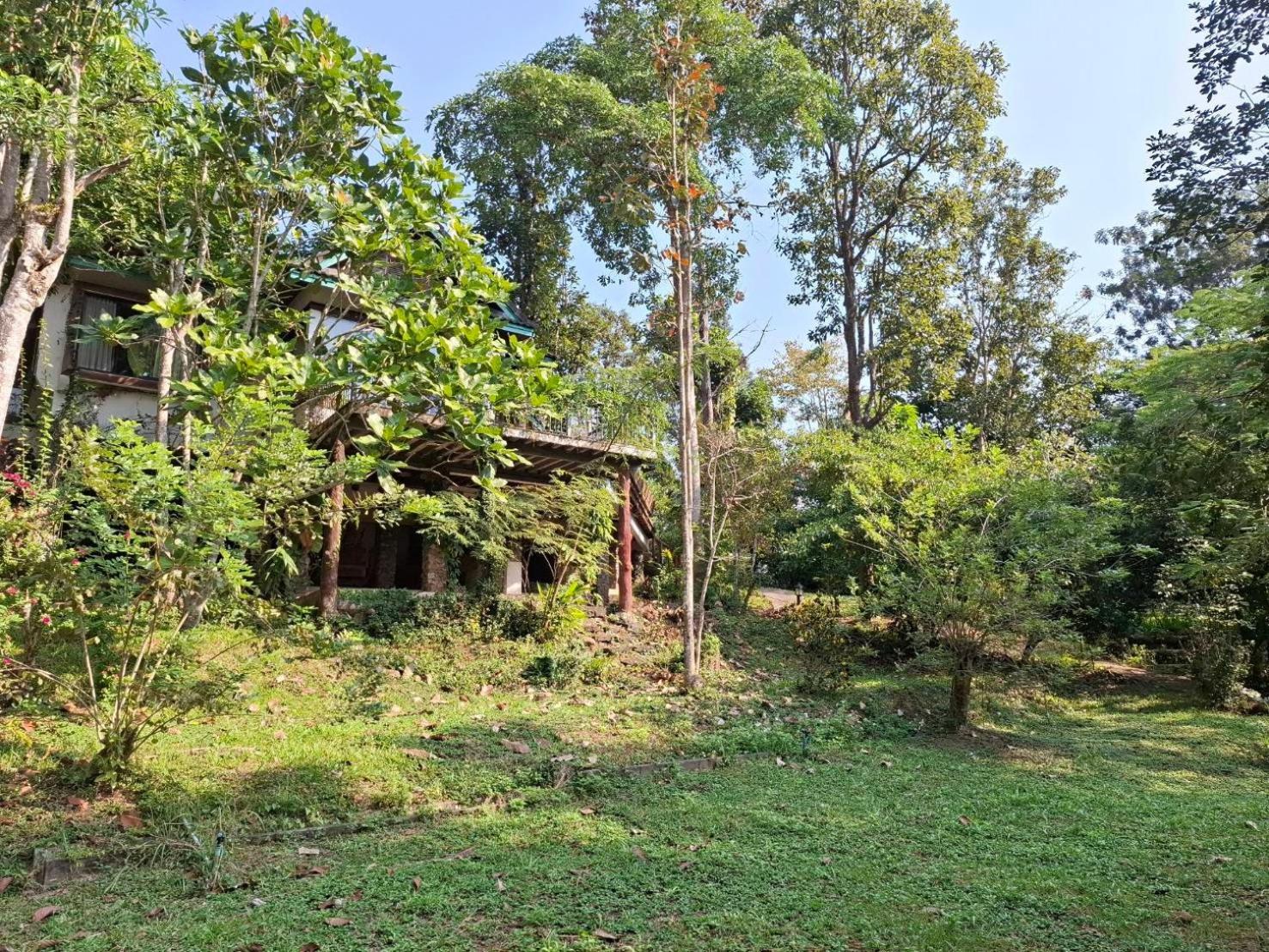 Balmy Hideout Cafe & Homestay Ban Huai Kaeo Екстер'єр фото